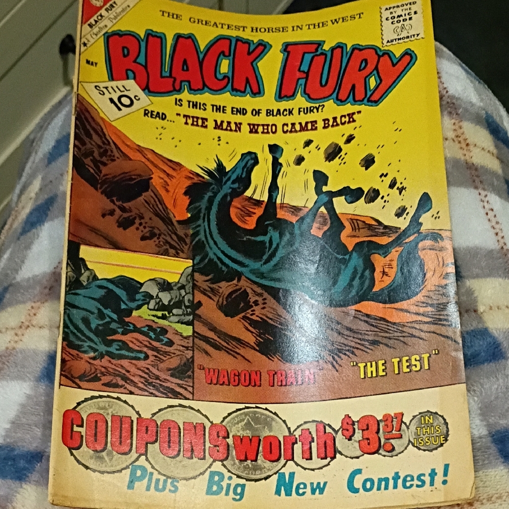 Vintage Black Fury Comic Book Charlton Comic Collection